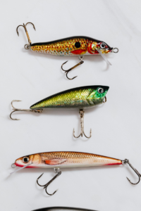 Read more about the article Wanna cover a lot water: crankbaits
