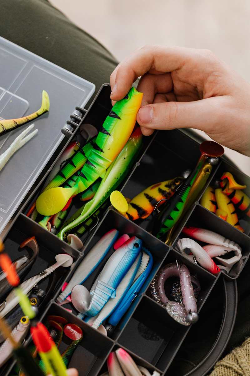 You are currently viewing Spring techniques for succeed for Bass